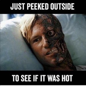 Meet your Posher, Lehman